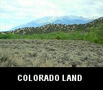 vacant county residential homesteading land