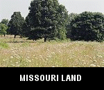 vacant county residential homesteading land