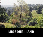 vacant county residential homesteading land