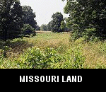 vacant county residential homesteading land