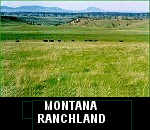 bid on land