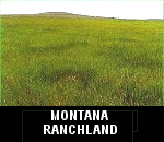 vacant county residential homesteading land