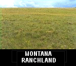 montana land