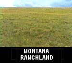 bid on land