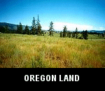 vacant county residential homesteading land