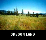bid on land