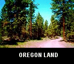 vacant county residential homesteading land