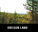 bid on land