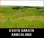 vacant county residential homesteading land