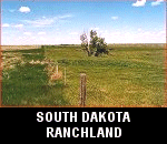 bid on land