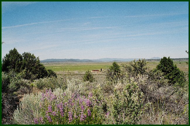 Picture of Land for Sale