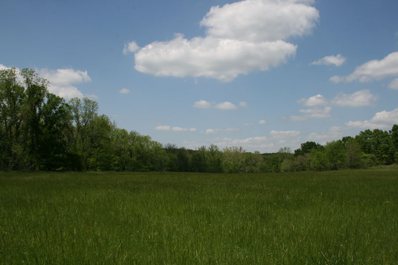 Picture of Land for Sale
