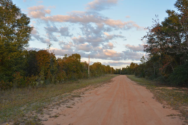 Florida Land for Sale, $160 per month 1 Acre Florida Land