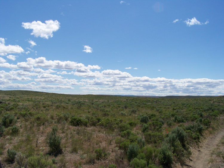 Picture of Land for Sale