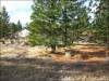 0.24 Acres California Land