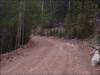 Great views from this 14.9 Acre Lot 14.9 Acres Colorado Land