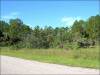 Florida Land for Sale, $140 per month .50 Acres Florida Land