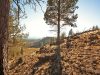 Oregon Land for Sale, 2.40 Acres