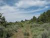 1.7 Acres of Land for Sale in Oregon 