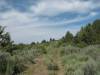 1.7 Acres Oregon Land