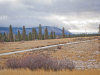 .70 Acres Oregon Land