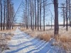 2.3 Acres Oregon Land