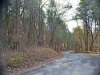 Tennessee Land Auction 2.73 Acres Tennessee Land