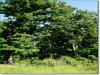 11 Acres of Missouri Land for Sale