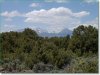5.4 Acres for $128 a month 5.4 Acres Colorado Land
