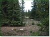 Land for Sale in Colorado, 5.14 Acres 5.14 Acres Colorado Land
