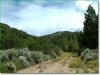 Owner Financing, $267 per month 5.33 Acres Colorado Land