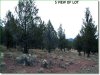 1.5 Acres for $134 a month 1.5 Acres Oregon Land