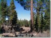 2.3 Acres for $161 a month 2.3 Acres Oregon Land