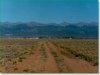 80 Acres of Colorado Land for Sale