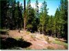 Oregon Land Auction 2.3 Acres Oregon Land