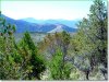 5 Acres of Colorado Land for Sale