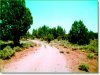 4.6 Acres of Oregon Land for Sale 4.6 Acres Oregon Land