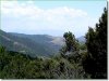 Watch the included land video 11.75 Acres Colorado Land