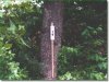 Land for Sale in Missouri 11 Acres Missouri Land