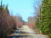 38.48 Acres for $367 a month 38.48 Acres Alaska Land