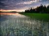 Alaska Land for Sale, 4.66 Acres 4.66 Acres Alaska Land