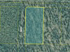 Alaska Land Auction, 0.99 Acres 0.99 Acres Alaska Land