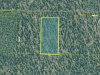 Land for Sale in Alaska 1.0 Acre Alaska Land