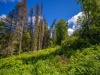 0.93 Acres for $266 a month 0.93 Acres Alaska Land