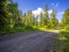 1 Acre Alaska Land