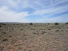 Arizona Land Auction, 36.25 Acres 36.25 Acres Arizona Land