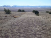 1.0 Acre of Arizona Land