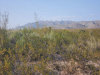 8.87 Acres for $196 a month 8.87 Acres Arizona Land