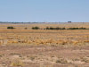 1.25 Acres Arizona Land