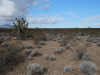 1.33 Acres Arizona Land